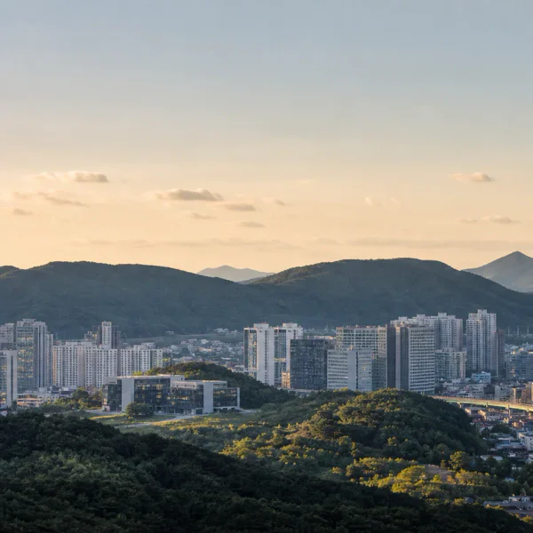 아로마 레이포레스트 홈타이 제휴업체 이미지